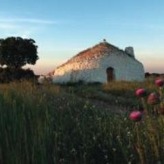 Tomeshop's profile picture. Actualidad, recetas y consejos alimenticios.
Tienda online de productos de Tomelloso. (Próximamente)