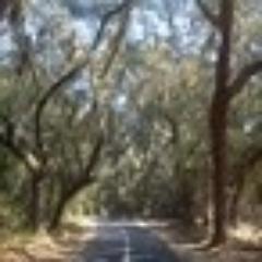 kimlove66's profile picture. 