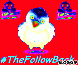 You follow me and I follow back. You unfollow me and I unfollow you. Je follow back 100%. #TeamFollowBack
