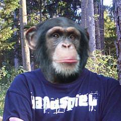 HGKramm's profile picture. Wir kennen uns nicht.