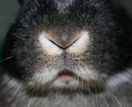 Hahttsy's profile picture. Single dude, work, love to surf.  Be smart.  Play with women. Talk politics & sex. Repub who's pro-woman, even pro-choice. Not gay. Real opinions, not real name