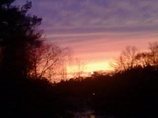 DuncanStacie's profile picture. 