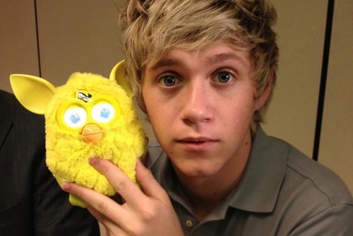 follow my other acc - @HaroldsBra ask for follow back