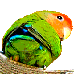 🐥むぎちよ🐥さんのプロフィール画像