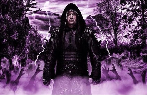 TRINIONWHEELS's profile picture. 