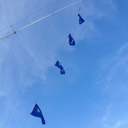 brad_sewell's profile picture. Believer, husband, daddy, son, brother, friend, Tar Heel and purveyor of fine Complex Rehabilitation Technology.