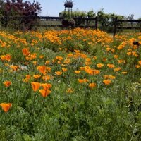 Farmer Fred® (@farmerfred) 's Twitter Profile Photo