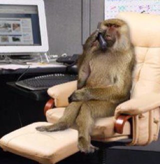 Trying to out run the rat race.