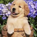 Adrian Kowalski - @adeek133 - Twitter