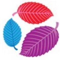 Elmwood School (@elmwoodsch) 's Twitter Profile