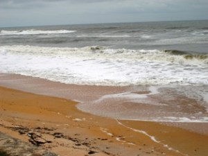 BuyPalmCoast's profile picture. 