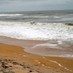 Buy Palm Coast (@buypalmcoast) Twitter profile photo