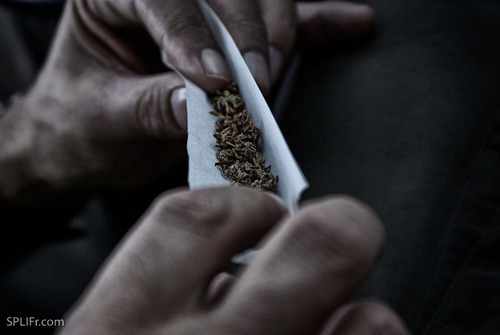 TheRoachRoller's profile picture. fuck life, before it fucks you