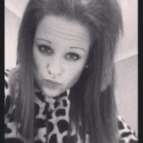 youmeatgeo's profile picture. 