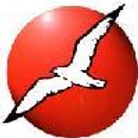 GulfWinds Track Club (@gulfwindstc) 's Twitter Profile