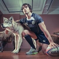 Colin Rhys Gregor (@colingregor) 's Twitter Profile