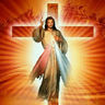josegb2113's profile picture. 