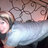 Profile Picture of Michelle (@MichelleBritz88) on Twitter