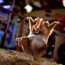 Daniel Boman - @DannySaik - Twitter