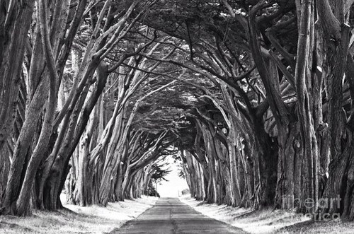 InkbotFilms's profile picture. 