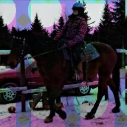 I LOVE MY 6 HORSES. BEN IS THE COLORFUL PICTURE AND TRACKER IS THE BLUE EYED HORSE IN MY HEADER. I FOLLOW BACK don't be afraid to follow me!