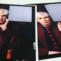 Karen Bystedt (@thelostwarhols) 's Twitter Profile