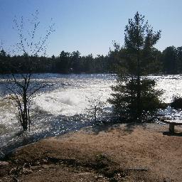 soobird26's profile picture. 