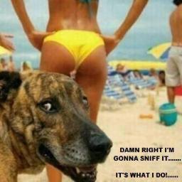 MysteriosUnname's profile picture. 