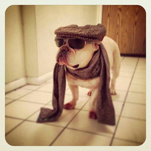 tyger_1987's profile picture. 