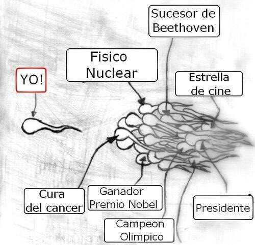 Ing. Electricista de profesión, Petrolero de carrera, hablador de pendejadas por elección.

-Life is just one long story about how you died-