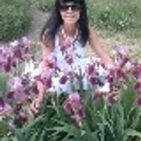 NoraWarren (@norawarren8) 's Twitter Profile Photo