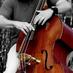 Steve Meashey Bass (@stemeasheybass) Twitter profile photo