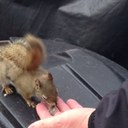 wilfred michael - @mr_smoosh - Twitter