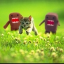 Matthew Stell - @dawgs1850 - Twitter