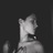 PolinaPugovka's profile image