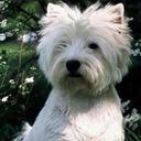 Jackie Knowles - @ImJackieKnowles - Twitter