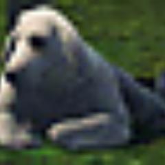 I am a dead dog. Partly glad i'm dead because of that stupid family. partly sad because my family's gone.
