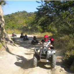 Andres51748165's profile picture. 