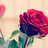 _7amdwh's profile image