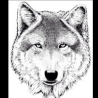 Plano West  (@planowest13_14) 's Twitter Profile