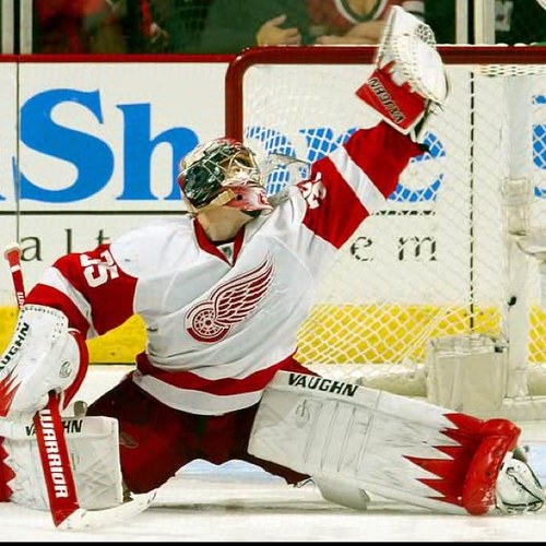 Tweets about hockey, hockey and more hockey. Die hard Detroit Red Wings Fan