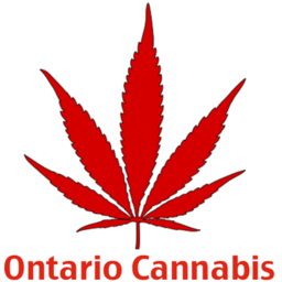 The latests news on cannabis legalization, decriminalization and medical marijuana in Ontario, Canada. #Legalize