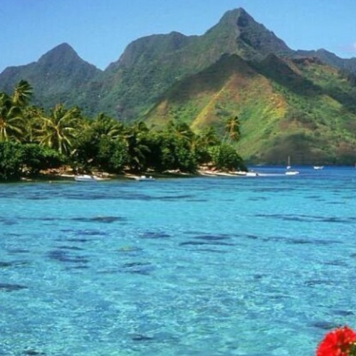 Blogger_Kw8's profile picture. 