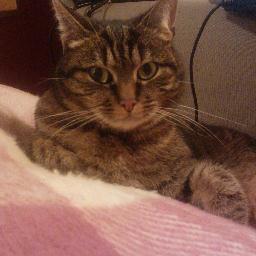 FWarref's profile picture. 