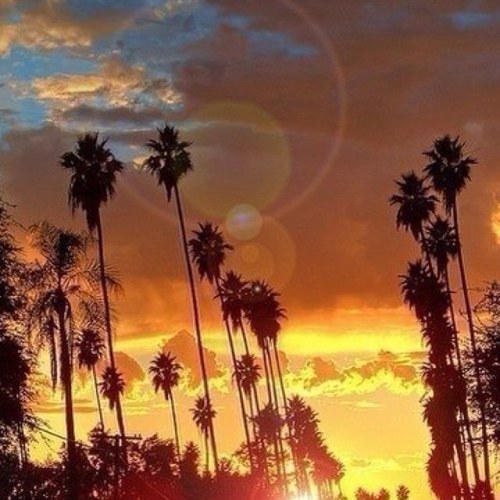 i love usa mexico