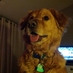 Peter John Reeves (@peterjohnreeves) Twitter profile photo