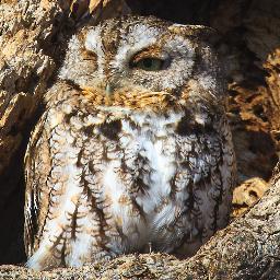 ChrissyEth's profile picture. Landscape, wildlife and portrait photography.  Photography lessons.
905 327-3766