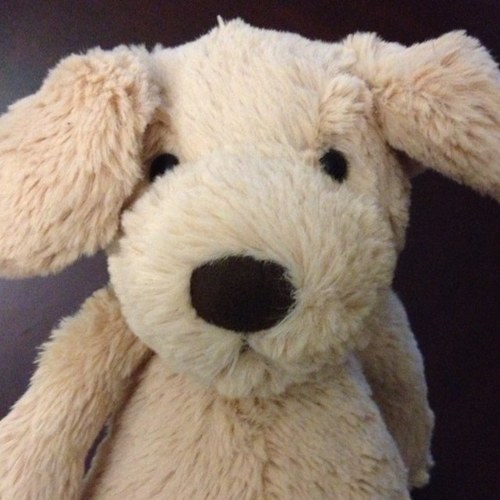 BusterMcCluster's profile picture. Loving the funny parts of life.