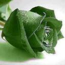 Amy Ryder - @oOAmyKatOo - Twitter