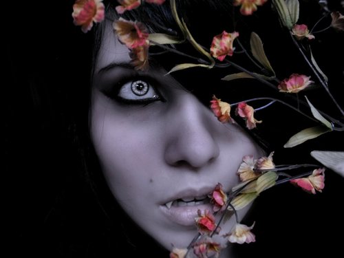 VampChick84's profile picture. A Vampire obsessed chick that likes all things dark and mysterious. Secretly Goth on the inside.